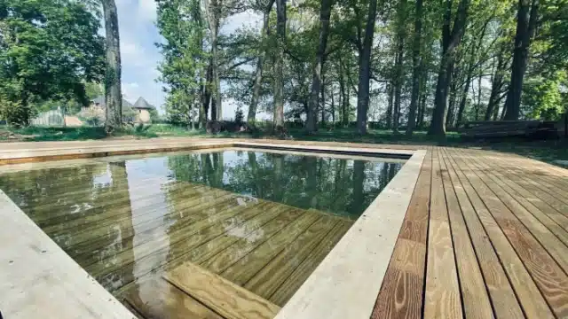 Terrasse en bois Accoya : pourquoi est-ce le choix idéal autour de votre piscine ?