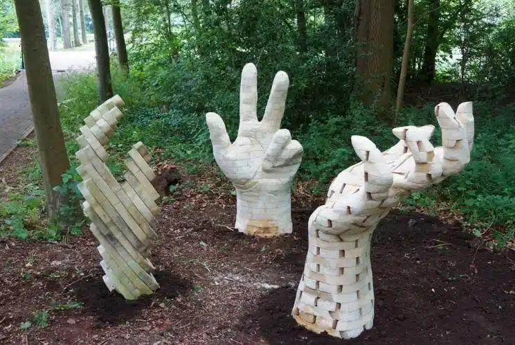 Sculpture-en-Accoya