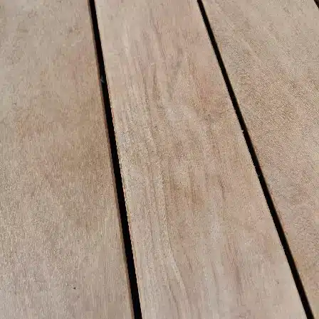 Terrasse afzélia
