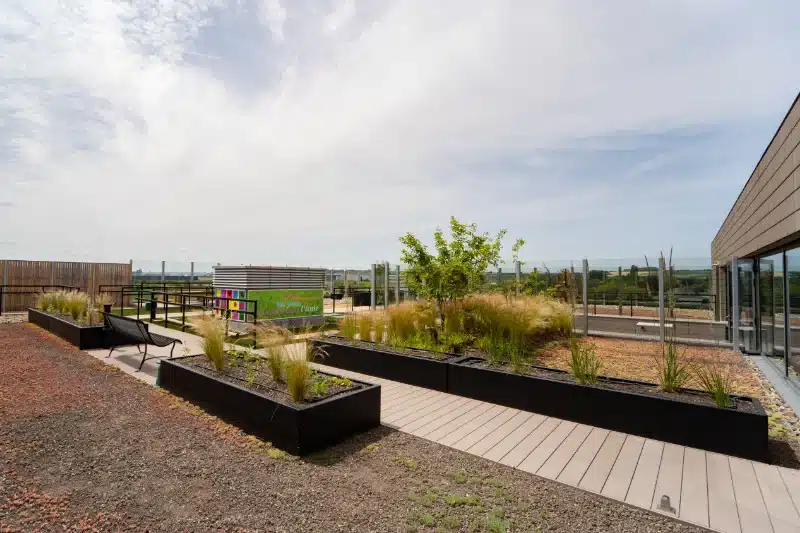 Bois ou composite : quelle terrasse vous correspond ?